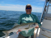 Scott's Merrimack River striper